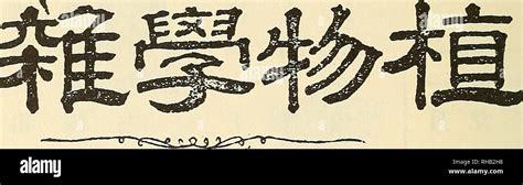《賽爾特大陸》周年慶版本手游代理的禮儀服務(wù)指南 專業(yè)態(tài)度鑄就成功